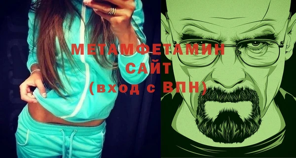 индика Вяземский